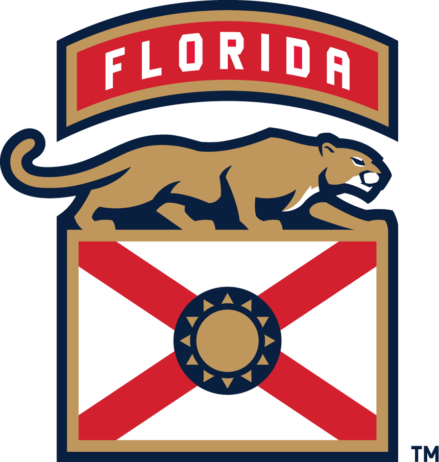 Florida Panthers 2016-Pres Alternate Logo t shirts DIY iron ons v4